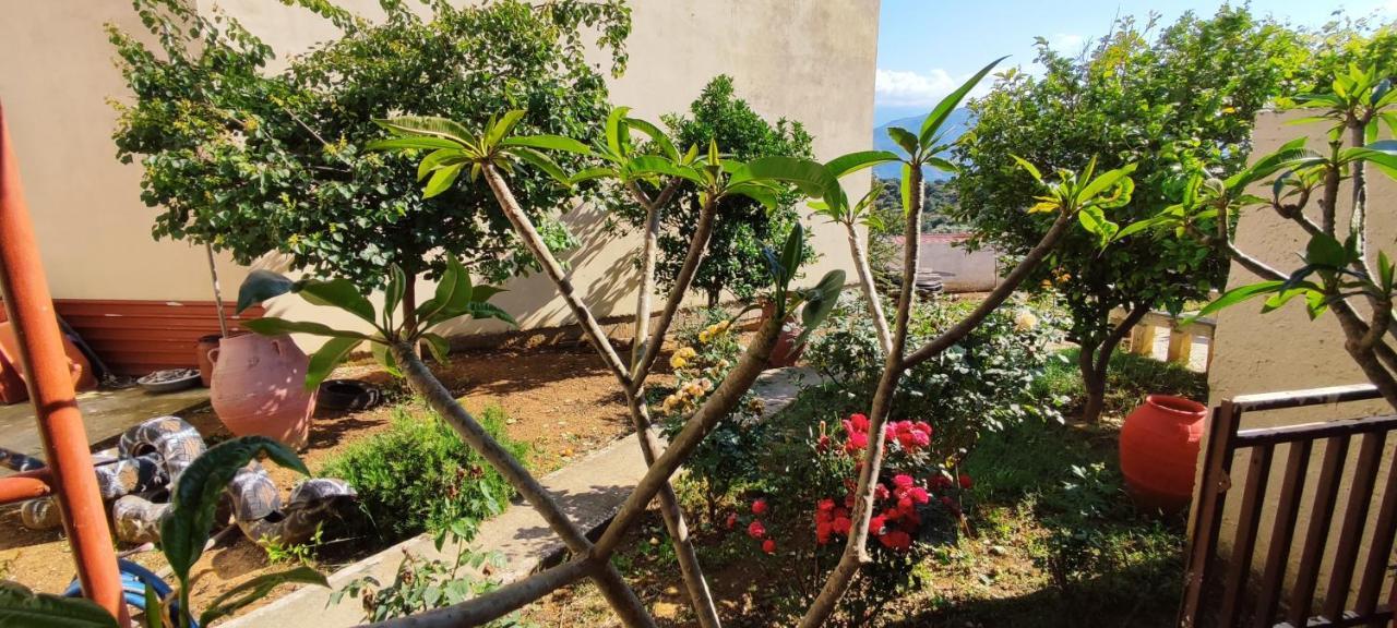 Village House With A Nice Garden Stérnai 外观 照片
